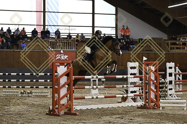 Fränkische Meisterschaft - Prüfung 5, Springpr. Kl. M** - Image 74