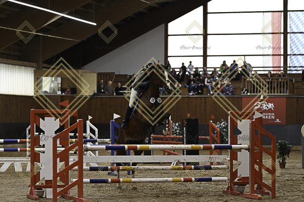 Fränkische Meisterschaft - Prüfung 12, Springpr. Kl. L - Image 147