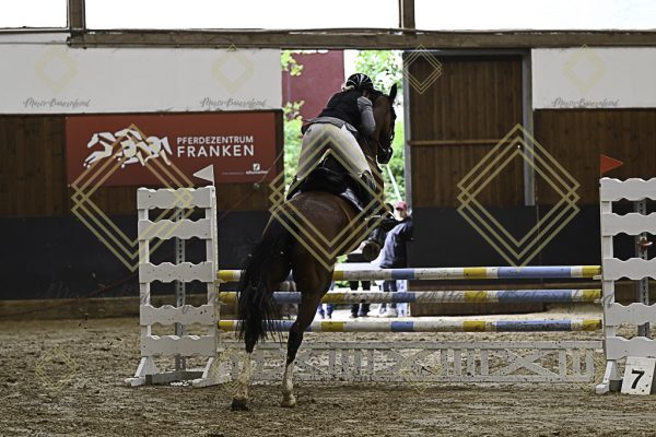 Fränkische Meisterschaft - Prüfung 12, Springpr. Kl. L - Image 148