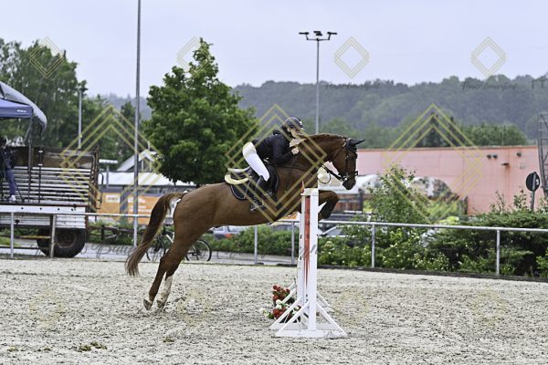 Fränkische Meisterschaft - Prüfung 4, Springpr. Kl. M* - Image 82