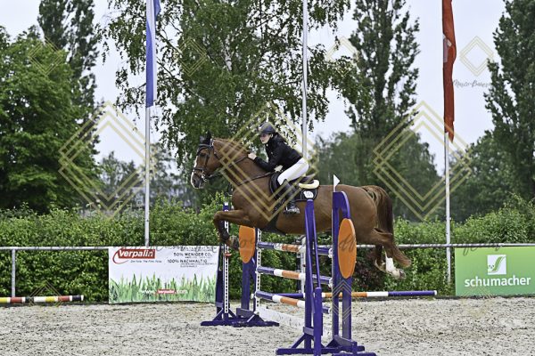 Fränkische Meisterschaft - Prüfung 4, Springpr. Kl. M* - Image 84