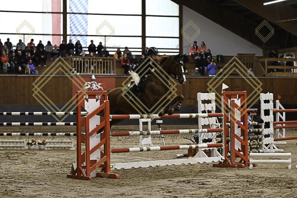 Fränkische Meisterschaft - Prüfung 5, Springpr. Kl. M** - Image 79