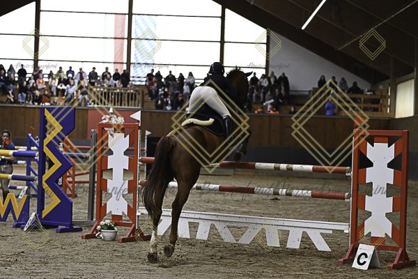 Fränkische Meisterschaft - Prüfung 6, Springpr. Kl. M** - Image 62