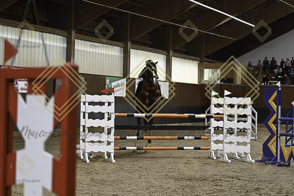 Fränkische Meisterschaft - Prüfung 6, Springpr. Kl. M** - Image 63