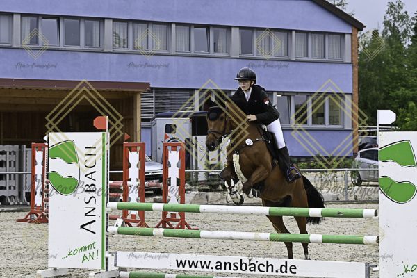 Fränkische Meisterschaft - Prüfung 20, Springpr.Kl.A** - Image 83