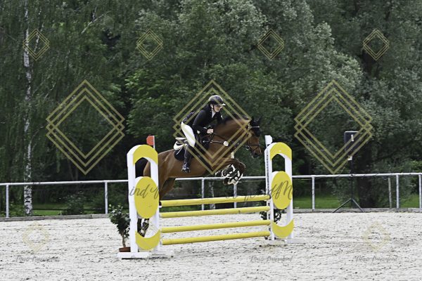 Fränkische Meisterschaft - Prüfung 20, Springpr.Kl.A** - Image 84
