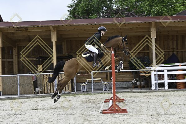 Fränkische Meisterschaft - Prüfung 20, Springpr.Kl.A** - Image 85