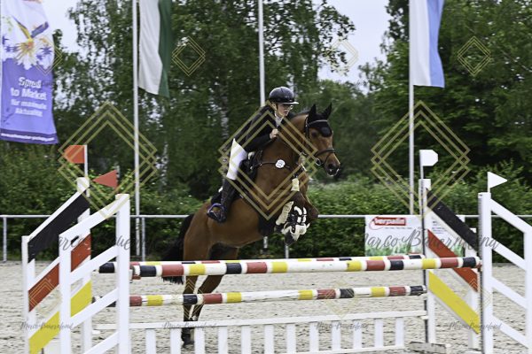 Fränkische Meisterschaft - Prüfung 20, Springpr.Kl.A** - Image 86