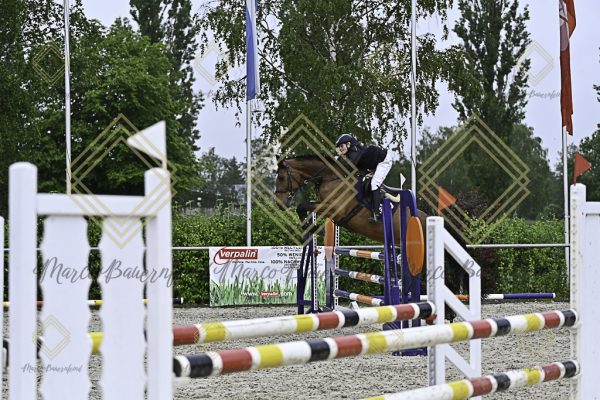 Fränkische Meisterschaft - Prüfung 10, Springpr. Kl. L - Image 150