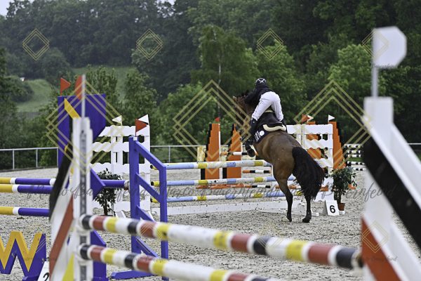 Fränkische Meisterschaft - Prüfung 10, Springpr. Kl. L - Image 151