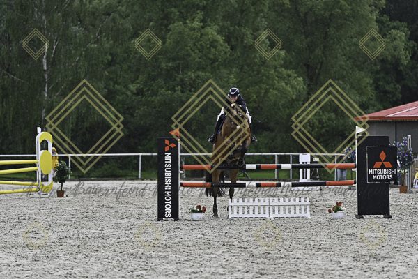 Fränkische Meisterschaft - Prüfung 10, Springpr. Kl. L - Image 152