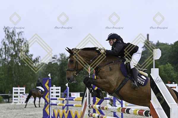 Fränkische Meisterschaft - Prüfung 10, Springpr. Kl. L - Image 153