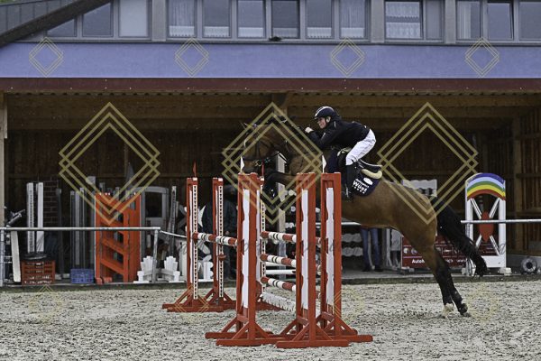 Fränkische Meisterschaft - Prüfung 10, Springpr. Kl. L - Image 154