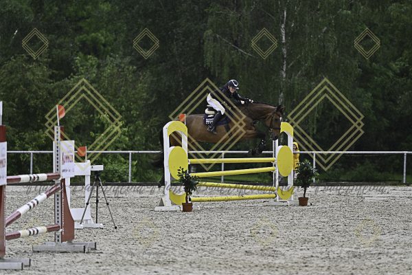 Fränkische Meisterschaft - Prüfung 10, Springpr. Kl. L - Image 155