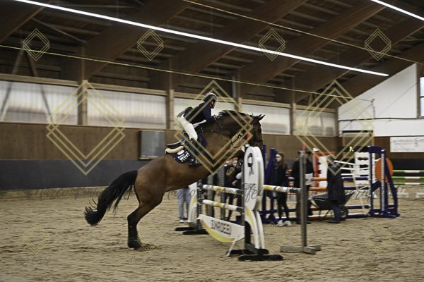 Fränkische Meisterschaft - Prüfung 11, Springpr. Kl. L - Image 90
