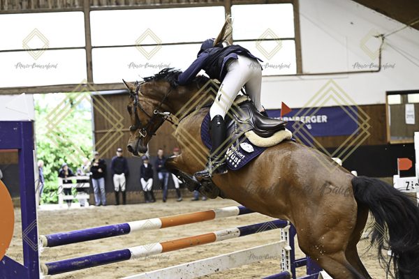 Fränkische Meisterschaft - Prüfung 12, Springpr. Kl. L - Image 154