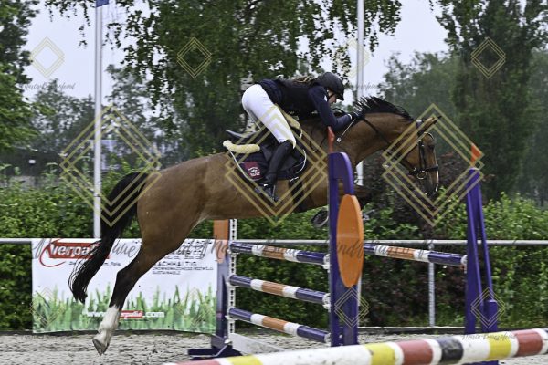 Fränkische Meisterschaft - Prüfung 7, Springpr. Kl. L - Image 101
