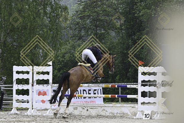 Fränkische Meisterschaft - Prüfung 7, Springpr. Kl. L - Image 102