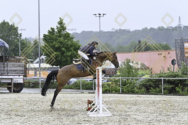 Fränkische Meisterschaft - Prüfung 10, Springpr. Kl. L - Image 156