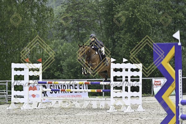 Fränkische Meisterschaft - Prüfung 10, Springpr. Kl. L - Image 159