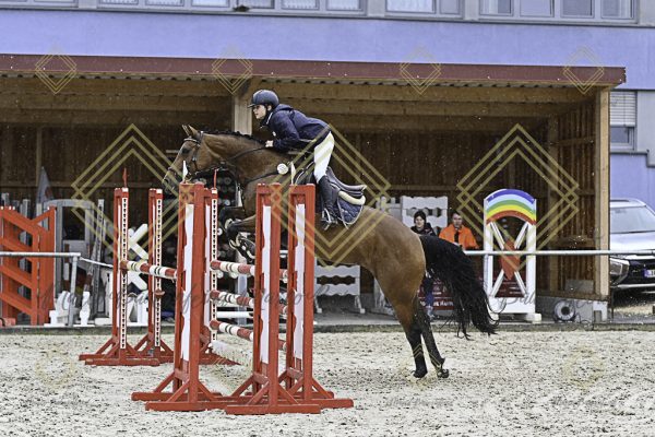 Fränkische Meisterschaft - Prüfung 10, Springpr. Kl. L - Image 162