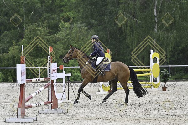 Fränkische Meisterschaft - Prüfung 10, Springpr. Kl. L - Image 164