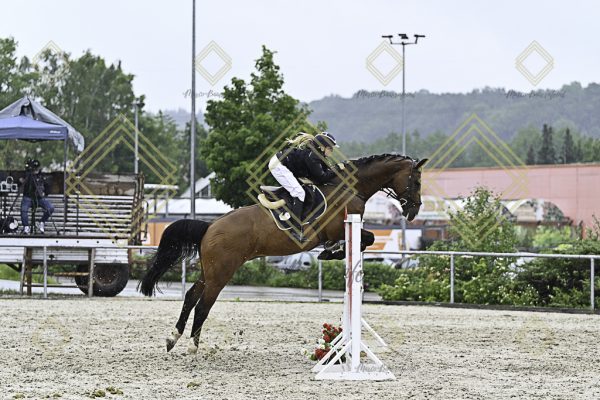 Fränkische Meisterschaft - Prüfung 10, Springpr. Kl. L - Image 165