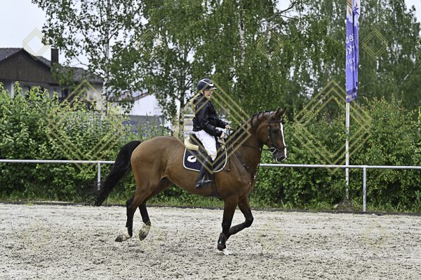 Fränkische Meisterschaft - Prüfung 10, Springpr. Kl. L - Image 166