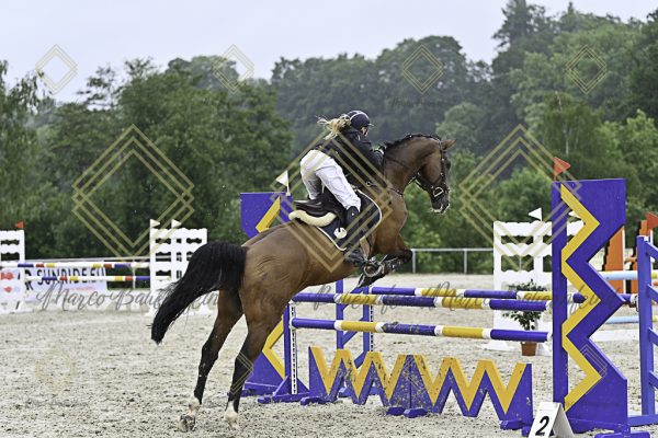 Fränkische Meisterschaft - Prüfung 10, Springpr. Kl. L - Image 167