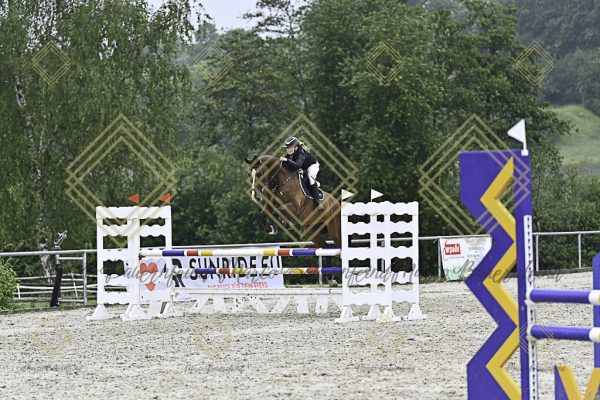 Fränkische Meisterschaft - Prüfung 10, Springpr. Kl. L - Image 168