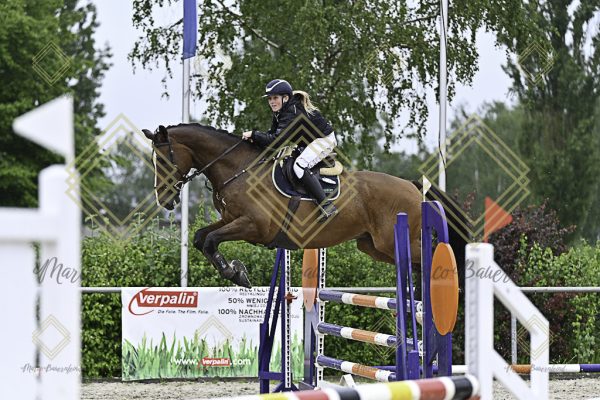 Fränkische Meisterschaft - Prüfung 10, Springpr. Kl. L - Image 169