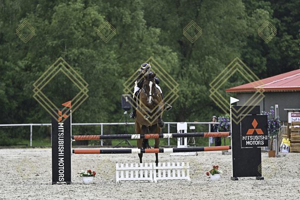 Fränkische Meisterschaft - Prüfung 10, Springpr. Kl. L - Image 170