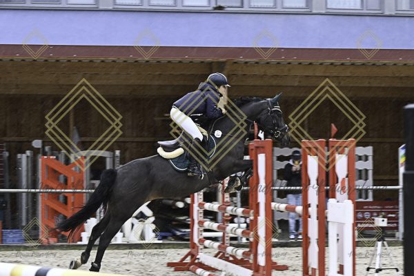 Fränkische Meisterschaft - Prüfung 13, Springpr. Kl. A** - Image 41
