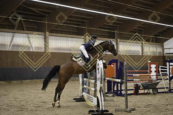 Fränkische Meisterschaft - Prüfung 11, Springpr. Kl. L - Image 103
