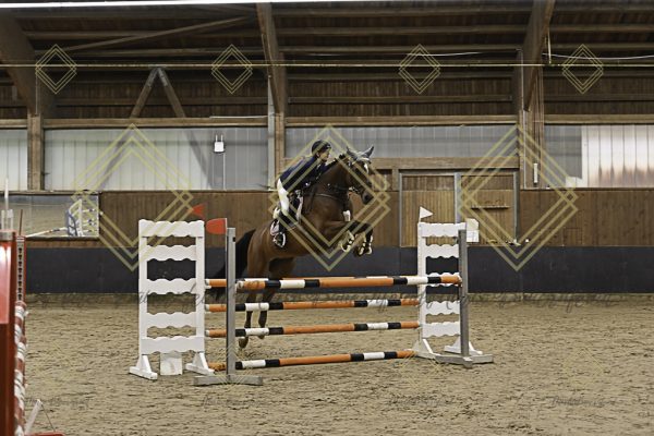 Fränkische Meisterschaft - Prüfung 11, Springpr. Kl. L - Image 105