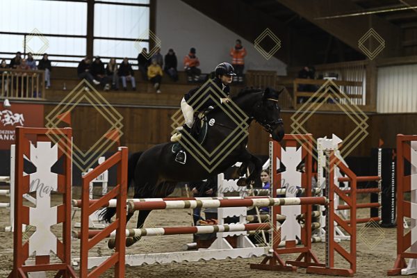 Fränkische Meisterschaft - Prüfung 14, Ponystilpr. Kl. A** - Image 28