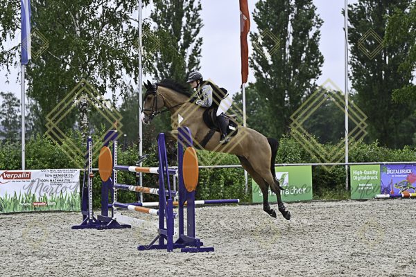 Fränkische Meisterschaft - Prüfung 4, Springpr. Kl. M* - Image 89