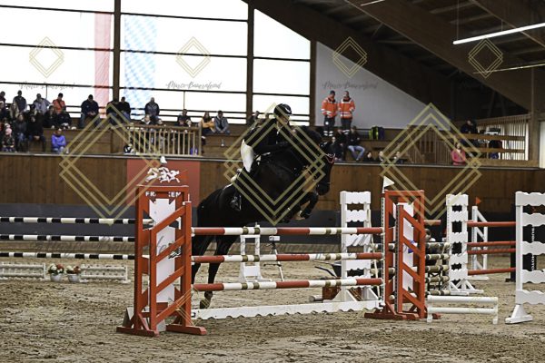 Fränkische Meisterschaft - Prüfung 5, Springpr. Kl. M** - Image 85