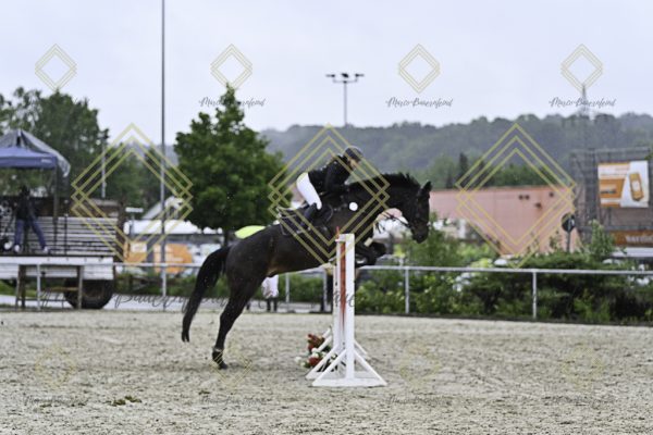 Fränkische Meisterschaft - Prüfung 4, Springpr. Kl. M* - Image 95