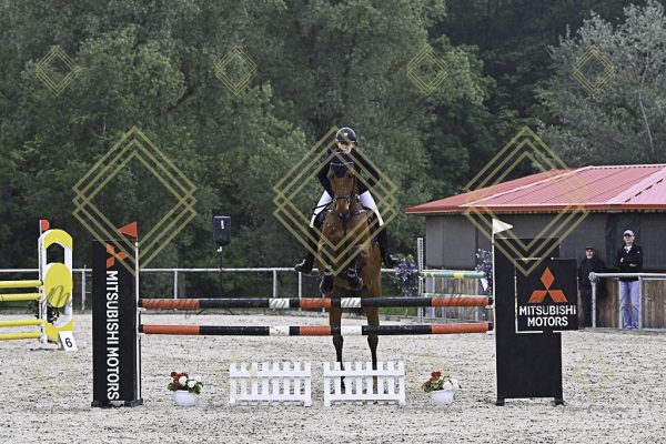 Fränkische Meisterschaft - Prüfung 19, Springpr. Kl. L - Image 145