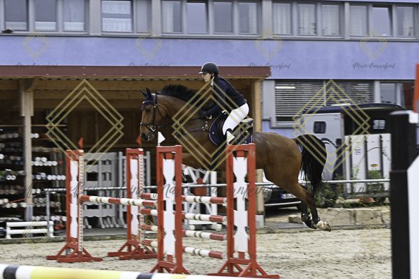 Fränkische Meisterschaft - Prüfung 19, Springpr. Kl. L - Image 146