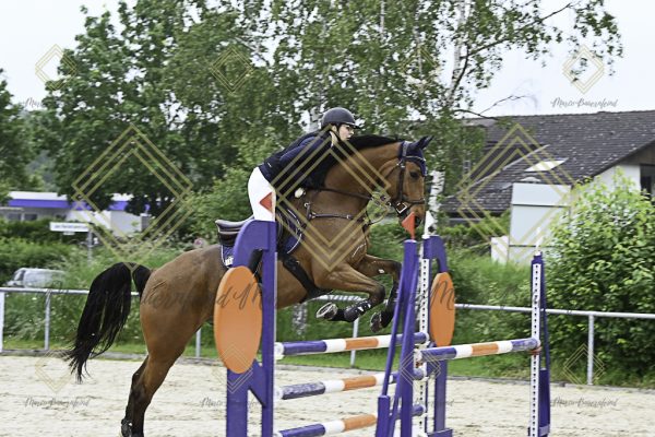 Fränkische Meisterschaft - Prüfung 19, Springpr. Kl. L - Image 148