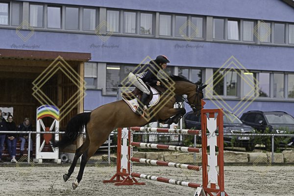 Fränkische Meisterschaft - Prüfung 1, Springpr. Kl. S* - Image 71