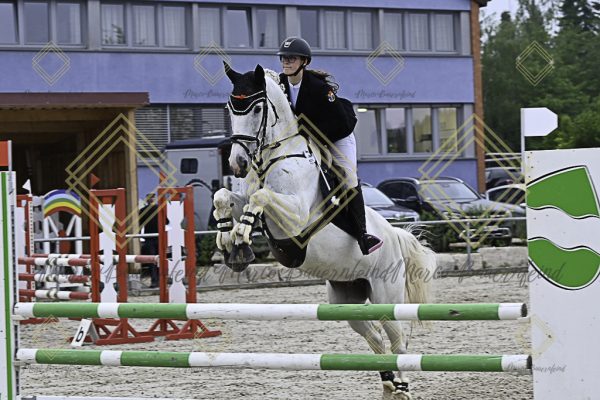 Fränkische Meisterschaft - Prüfung 20, Springpr.Kl.A** - Image 93