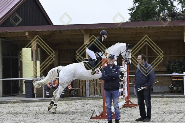 Fränkische Meisterschaft - Prüfung 20, Springpr.Kl.A** - Image 94