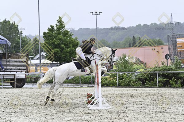 Fränkische Meisterschaft - Prüfung 10, Springpr. Kl. L - Image 173