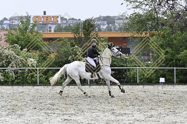 Fränkische Meisterschaft - Prüfung 10, Springpr. Kl. L - Image 174
