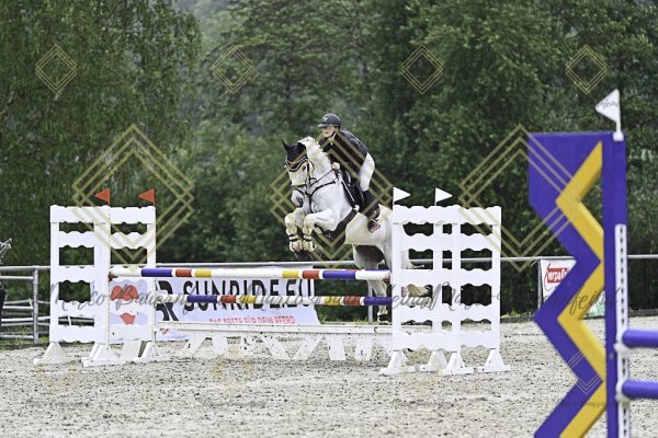 Fränkische Meisterschaft - Prüfung 10, Springpr. Kl. L - Image 176
