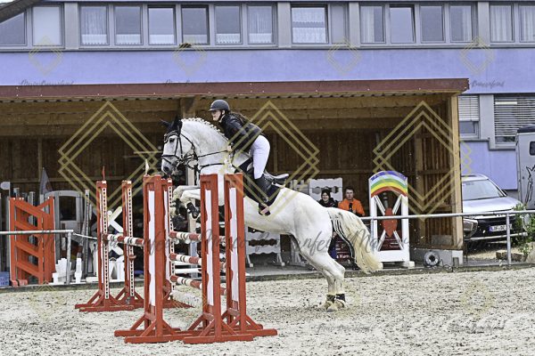 Fränkische Meisterschaft - Prüfung 10, Springpr. Kl. L - Image 181