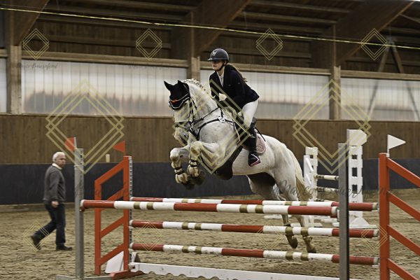 Fränkische Meisterschaft - Prüfung 11, Springpr. Kl. L - Image 107